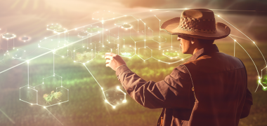Big data no campo: entenda como os dados estão transformando o agronegócio