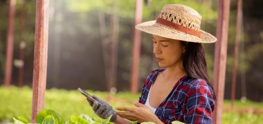 Como aplicativos ajudam no agronegócio?