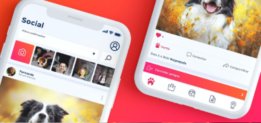 A transformação digital do app no mundo pet