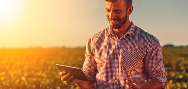 Sites personalizados beneficiam o agro Sites personalizados beneficiam o agro