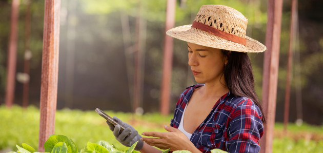 Como aplicativos ajudam no agronegócio?